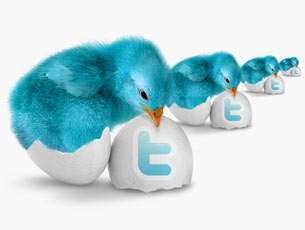 Blue bird twitter icon pack
