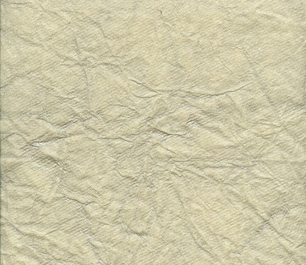 Crinkled Paper Texture