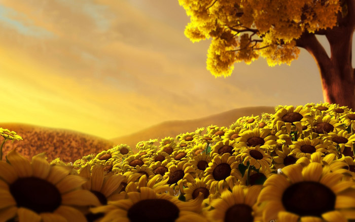 3D-Sunflowers