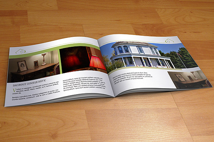 Real Estate Brochure 