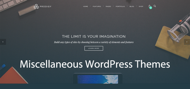 13  Cool Miscellaneous Premium WordPress Themes