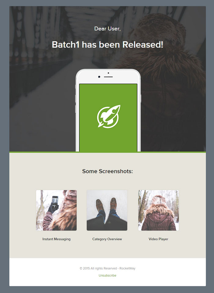 Batch1 - Complete Set of 20 Business Email Templates