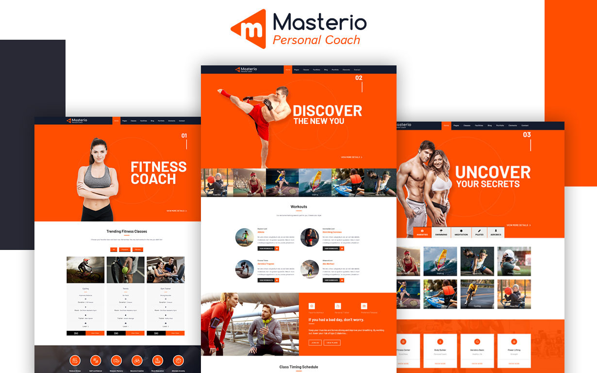 WordPress Sports Theme all pages