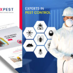 The best Pest Control WordPress Theme