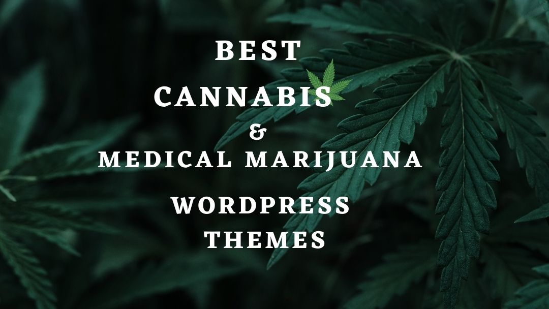 12 Best Cannabis, Marijuana WordPress Themes & Templates