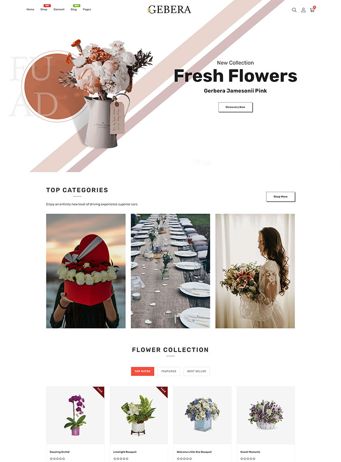 shopify florist theme | Gerbera   