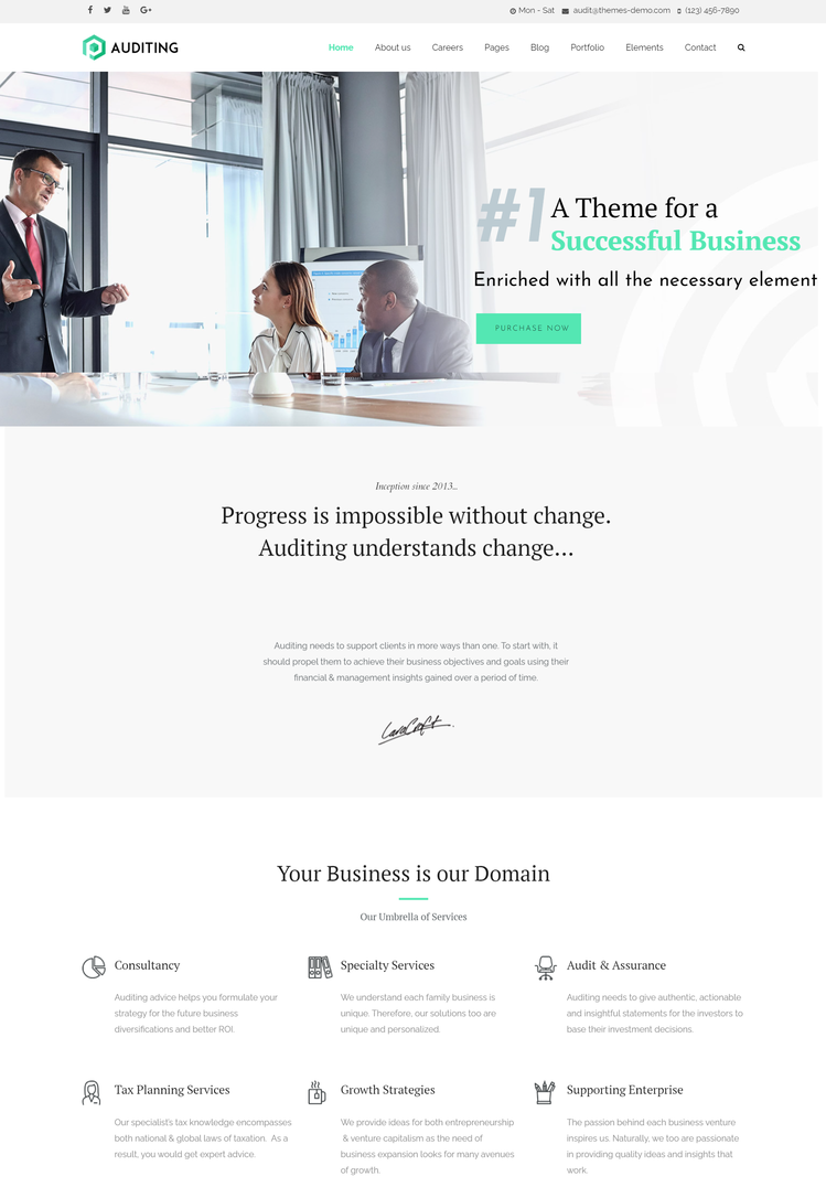 Auditing | Business Consultant, Finance WordPress Theme