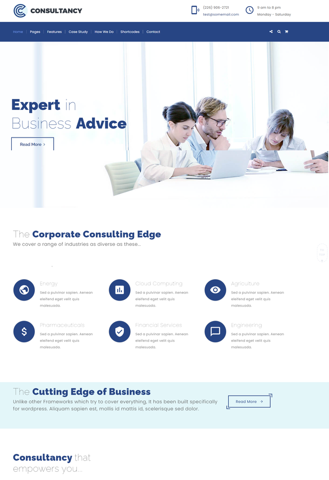 Consultancy Business wp theme