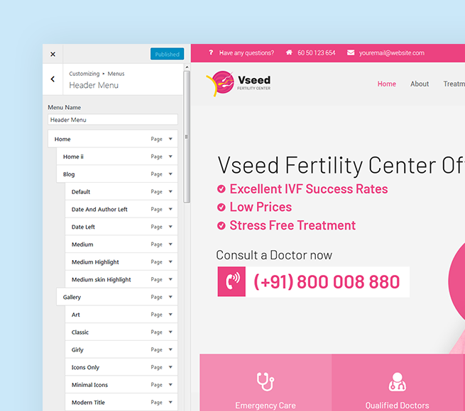 Custom customization panel with Fertility Clinic WordPress Theme Free Download