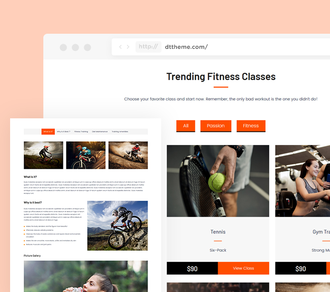 Custom and Result driven layout for WordPress Sports Theme