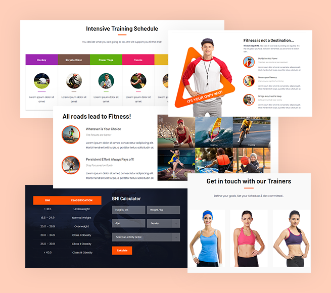Multi tabs to represent everything effectively in the WordPress Sports Theme